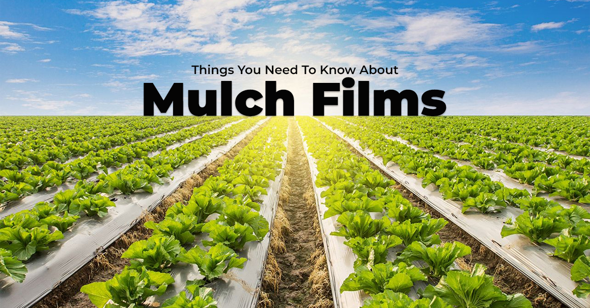Boost Farm Productivity with Agriculture Mulch Film